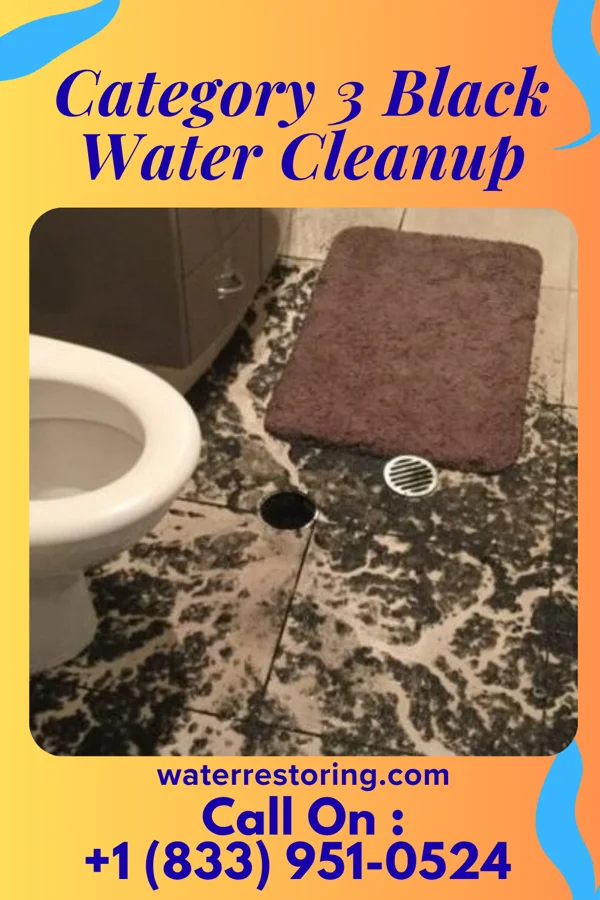 Category 3 Black Water Cleanup in Moreland, GA