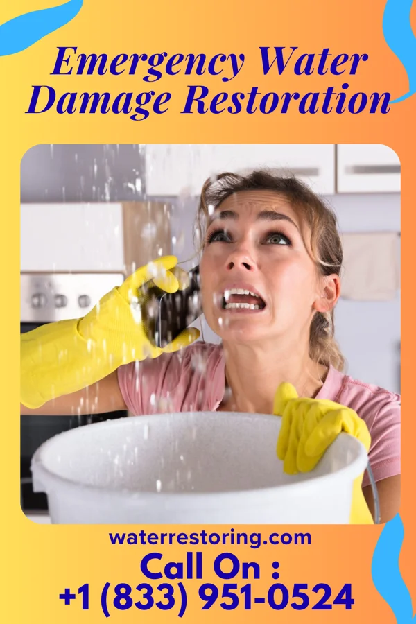 Emergency Water Damage Restoration in Moreland, GA